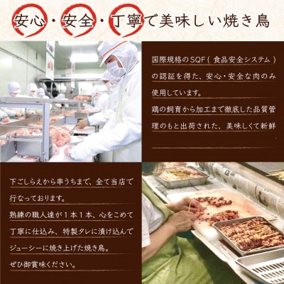 静岡県掛川市産 焼き鳥 150g×6パックセット