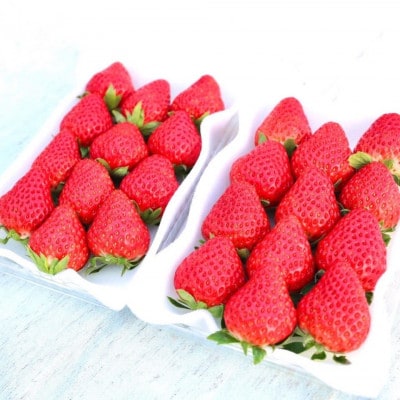 紅ほっぺ 　約280g×4パック