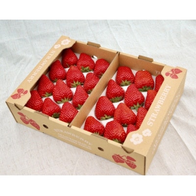 紅ほっぺ  大粒　約500g×2パック