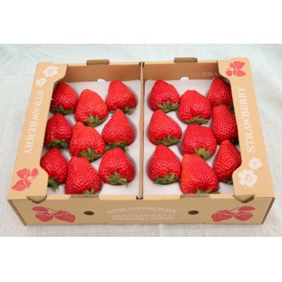 紅ほっぺ  大粒　約500g×2パック