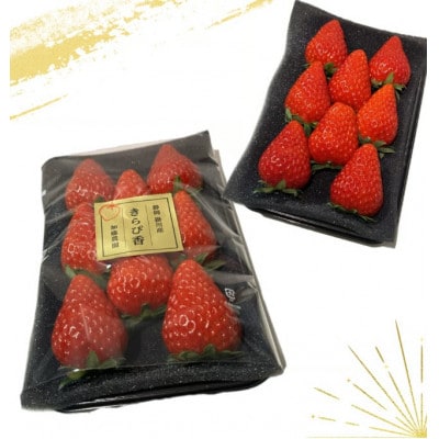 とちあいか いちご 1200g ( 4パック ) 期間限定 数量限定