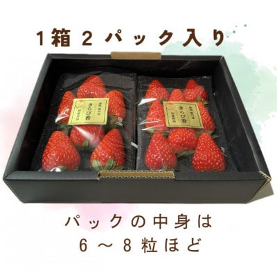 【先行受付】いちご【きらぴ香】1箱 (1箱2パック入り 約250g×2)