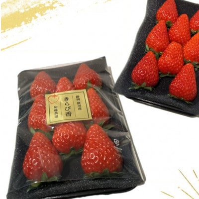 【先行受付】いちご【きらぴ香】1箱 (1箱2パック入り 約250g×2)