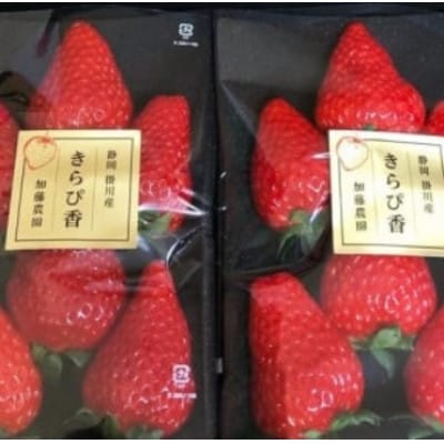 【先行受付】いちご【きらぴ香】1箱 (1箱2パック入り 約250g×2)