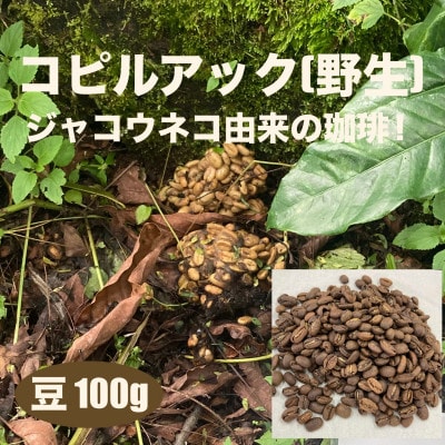 ジャコウネコ由来の希少コーヒー 野生コピルアック珈琲・掛川自家焙煎で丁寧に仕上げた贈答品 100g