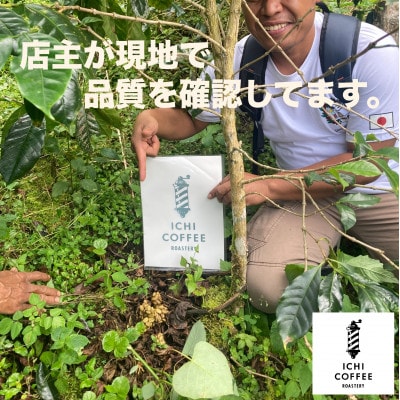 ジャコウネコ由来の希少コーヒー 野生コピルアック珈琲・掛川自家焙煎で丁寧に仕上げた贈答品 100g