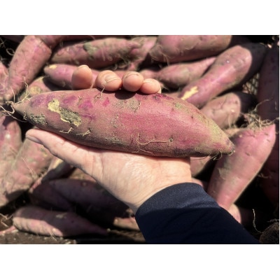掛川産熟成 紅はるか【訳あり】9kg