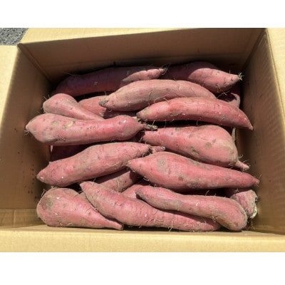掛川産熟成 紅はるか【訳あり】9kg