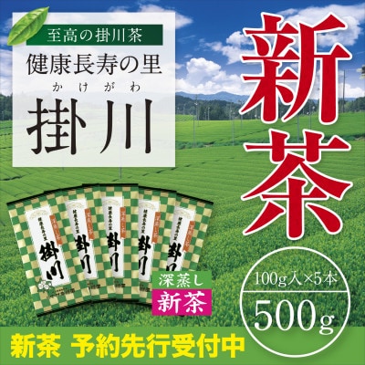 【新茶予約・令和8年度産】特上掛川茶「健康長寿の里 掛川」100g×5本セット　5月上旬頃～発送