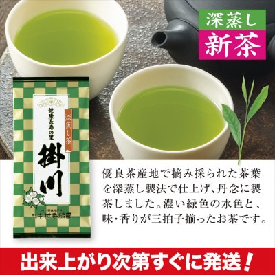 【新茶予約・令和8年度産】特上掛川茶「健康長寿の里 掛川」100g×5本セット　5月上旬頃～発送