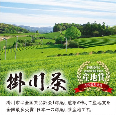 【掛川茶】特上深蒸し煎茶「深蒸し茶の郷 掛川」100g×3本セット　お茶の葛野