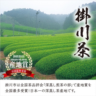 粉末緑茶「スティック掛川茶」200包　(1g×100包×2袋)　個包装　煎茶パウダー　お茶の葛野