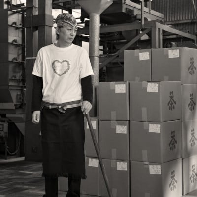 ふだん飲み　深蒸し掛川茶「草印」200g×3本セット