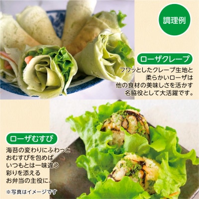 【こだわりの1種×6個セット】リーフレタス「掛川ラットューガ・ローザ」