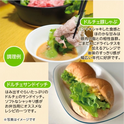 【こだわりの1種×6株】山里の湧き水で育った「掛川ラットューガ・ドルチェ」