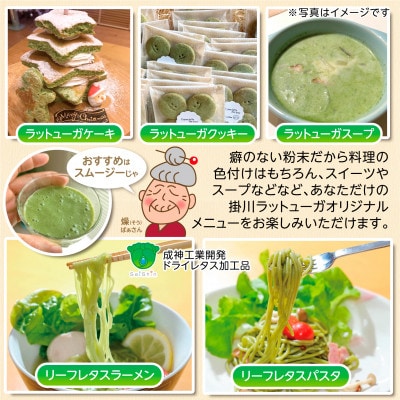 【掛川産】リーフレタスパウダー50g