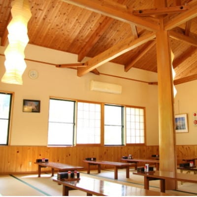 天然温泉「ならここの湯」入湯券 11枚