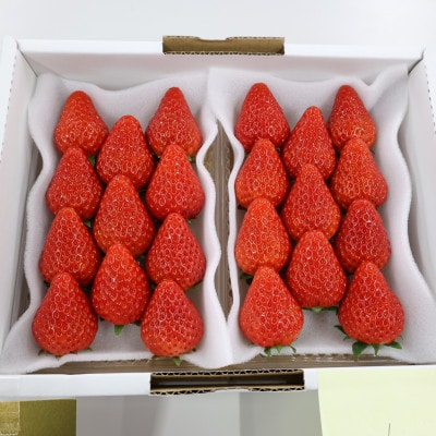 紅ほっぺセット(4パック)
