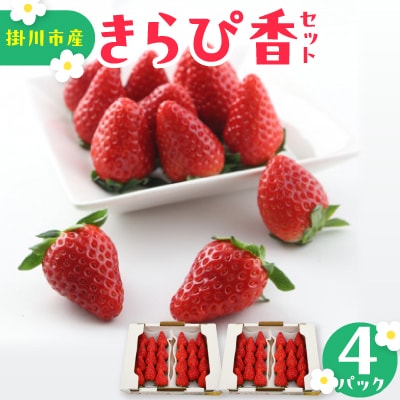 きらぴ香セット(4パック)