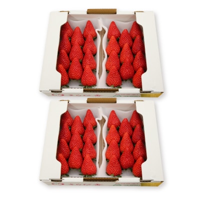 きらぴ香セット(4パック)