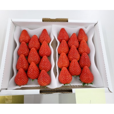 紅ほっぺ・きらぴ香食べ比べセット(各2パック　計4パック)