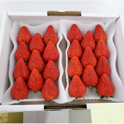 紅ほっぺ・きらぴ香食べ比べセット(各4パック　計8パック)