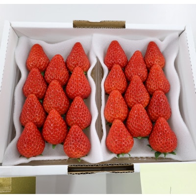 紅ほっぺセット(6パック)