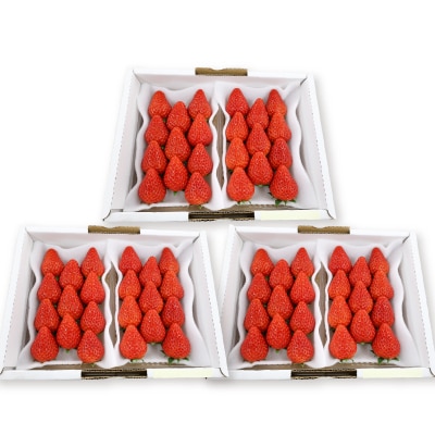 紅ほっぺセット(6パック)