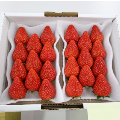 紅ほっぺセット(8パック)