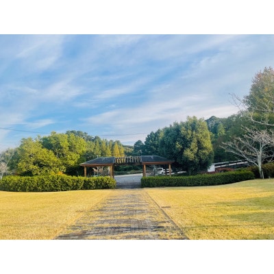 お墓参り代行(拭き掃除、墓花一組)【市外居住者のみ・富士見台霊園限定】