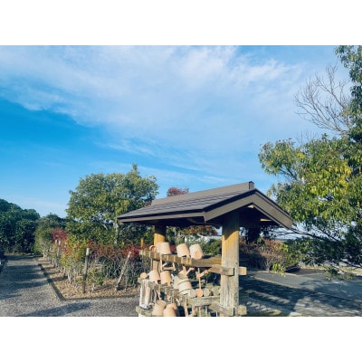 お墓参り代行(拭き掃除、墓花一組)【市外居住者のみ・富士見台霊園限定】