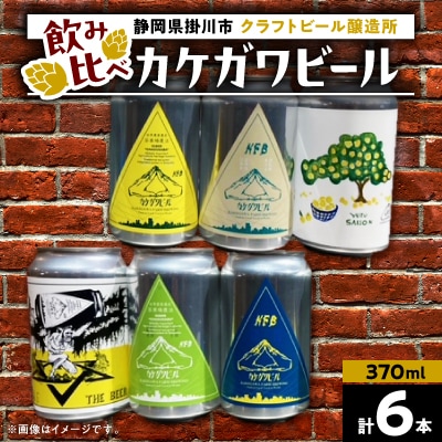 カケガワビール6本セット