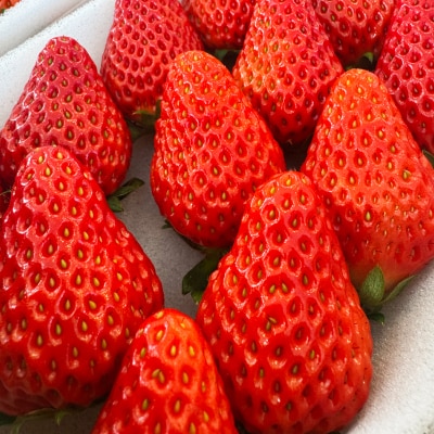紅ほっぺ280g×4パック　おいしい完熟いちご