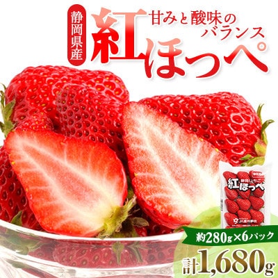 【発送月固定定期便】完熟いちご『紅ほっぺ』約280g×6パックと新鮮で大粒『生ブルーベリー』全2回