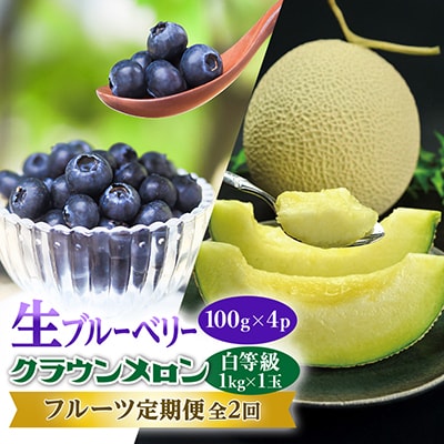 【発送月固定定期便】クラウンメロン (白等級) 1kg 1玉と新鮮で大粒『生ブルーベリー』全2回