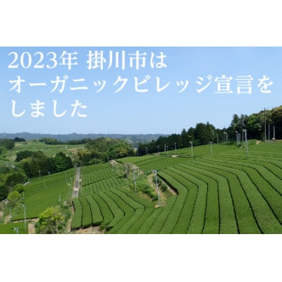 【さとふる限定】オーガニックビレッジ掛川、有機農業の会セレクト(3)「有機栽培　深蒸し掛川茶]
