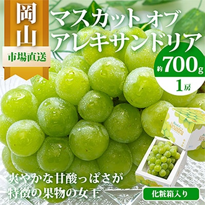 岡山県産　マスカット・オブ・アレキサンドリア1房(秀品以上・700g以上)化粧箱入り