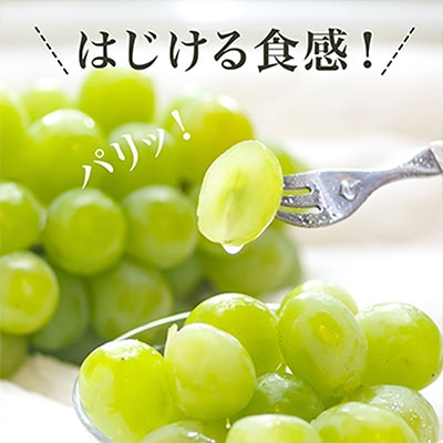 岡山県産　マスカット・オブ・アレキサンドリア1房(秀品以上・700g以上)化粧箱入り