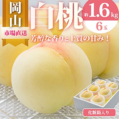 岡山県産　白桃6玉(1.6kg以上)　化粧箱入り