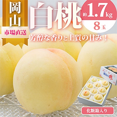 岡山県産　白桃8玉(1.7kg以上)　化粧箱入り