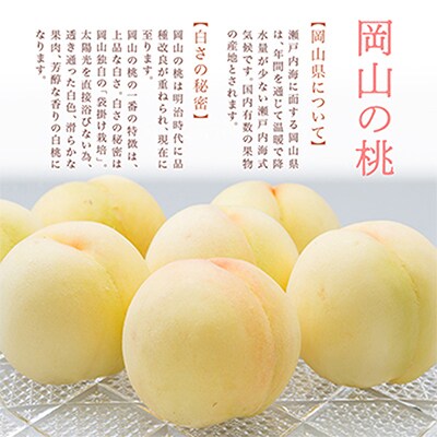 岡山県産　白桃8玉(1.7kg以上)　化粧箱入り