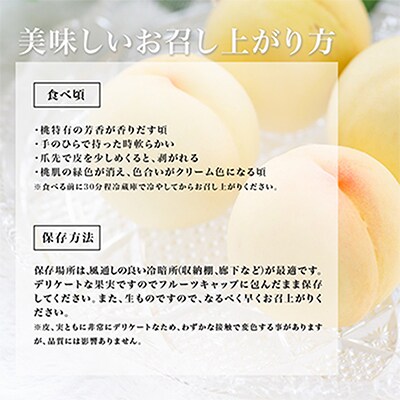 岡山県産　白桃8玉(1.7kg以上)　化粧箱入り