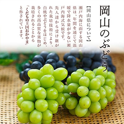 岡山県産　詰合せ/白桃とニューピオーネ　化粧箱入り