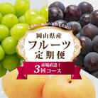 【発送月固定定期便】岡山県産 フルーツ定期便A全3回