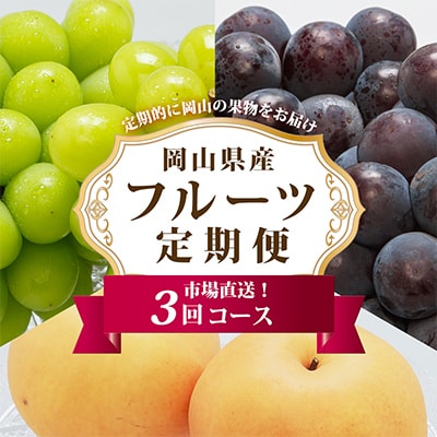 【発送月固定定期便】岡山県産 フルーツ定期便A全3回