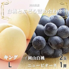 岡山県産 岡山白桃キングLサイズ200g&times;2玉・ニューピオーネ400g&times;1房 詰合せ