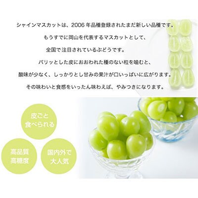 岡山県産　シャインマスカット　摘み落とし　200g×6パック