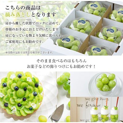 岡山県産　シャインマスカット　摘み落とし　200g×6パック