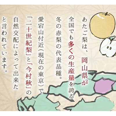 岡山県産　あたご梨 2玉 1.8kg