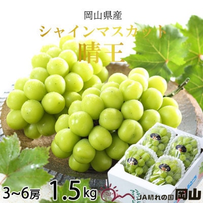 【2025年7月発送】岡山県産　シャインマスカット　晴王　1.5kg(3房～6房)